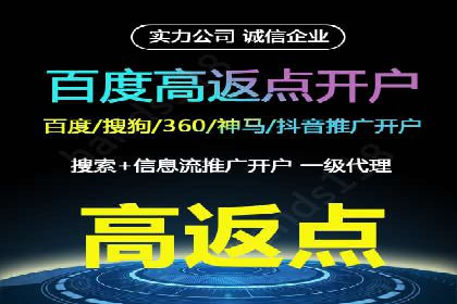 抖音信息流广告的投放策略与成功案例分析